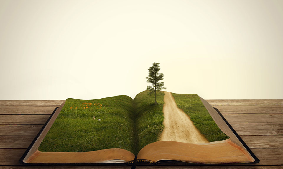 An open book on a wood table is edited to look as if a field has grown on it. A path revealing the basic page has been carved through the grass.